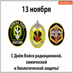 13 ноября С Днём Войск радиационной, химической и биологической защиты