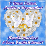 15 мая международный день семьи