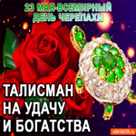 23 мая Всемирный день черепахи