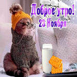 23 Ноября