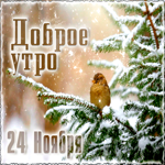 24 Ноября