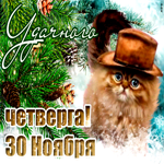 30 Ноября