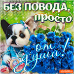 Без повода, просто от души