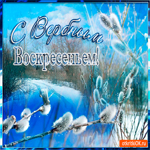 Божественный праздник - Вербное Воскресенье