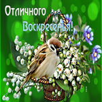 Чудесная открытка с воробьем и цветами Отличного воскресенья