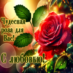 Чудесная роза для Вас! С любовью