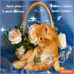 Дарите цветы любимым