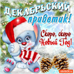 Декабрьский приветик