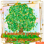 Денежное дерево моим друзьям