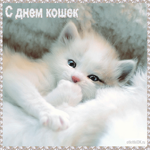 День кошек