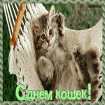 День кошек