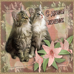 День котов и кошек