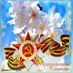 День Победы плейкаст