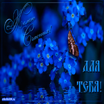 День счастья