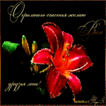 День счастья