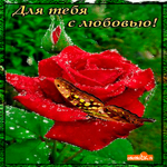 Открытка любимому человеку