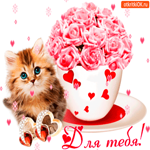 Для тебя от милого котика