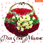 Для вас милые. Дарю корзину