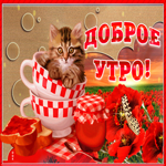 Доброе утро котенок