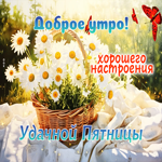 Доброе утро! Хорошего настроения! Удачной пятницы