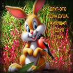 Друг - это одна душа живущая в двух телах