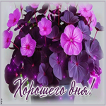 Душевная гиф-открытка с цветами Хорошего дня
