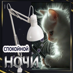 Душевная открытка Спокойной ночи