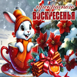 Элегантная зимняя гиф-открытка Прекрасного воскресенья