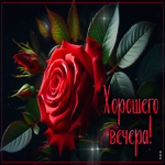 Эстетичная гиф-открытка Хорошего вечера