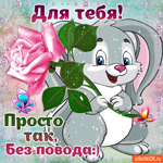Это для тебя, Просто так, Без повода