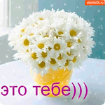 Это тебе, ведро ромашек
