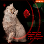 Хочется дарить цветы из нежности