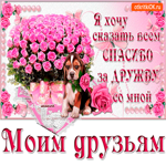 Хочу сказать спасибо