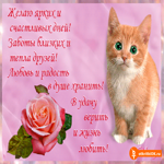 Желаю ярких и счастливых дней