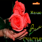 Желаю огромного счастья вам сегодня