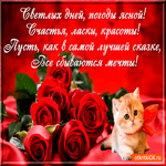 Желаю светлых дней и ясной погоды