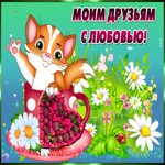 Картинка для друзей с котиком