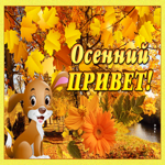 Картинка осенний привет
