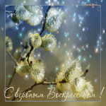 Вербное Воскресенье