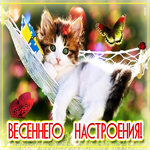 Картинка весеннего настроения