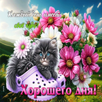 Каждый день имеет свое чудо! Хорошего дня
