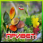 Хочу передать тебе привет