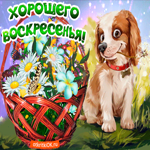 Хорошего воскресенья