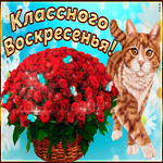 Классного воскресенья