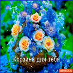 Корзина волшебная для тебя
