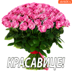 Красавице