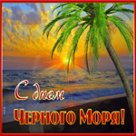 Красивая открытка День черного моря