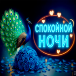 Красивых снов и приятного пробуждения