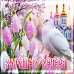Ласковая, благоухающая весенняя гиф-открытка Хорошего вечера