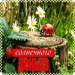 Ласковая открытка Солнечного денька
